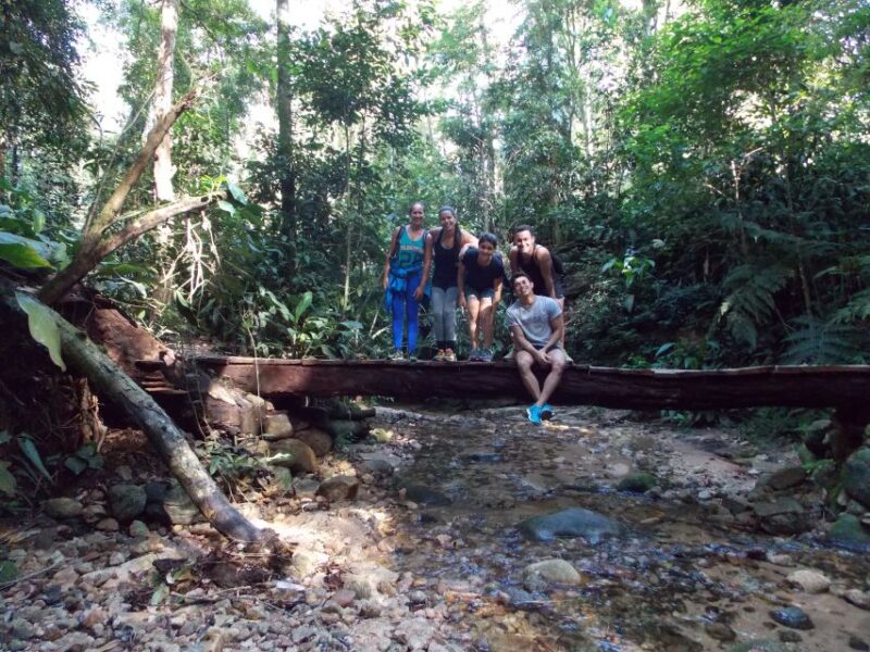 Bico Do Papagaio Guided Hiking Tour in the Tijuca Forest - Hiking Trails