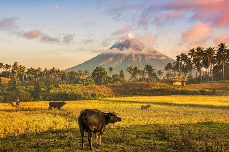 Bicol Mayon Volcano Easy Trek (Shared Tour) - Key Points