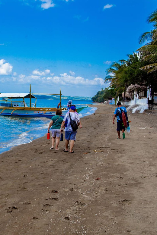 Bicol Philippines: Donsol Sorsogon Whale Shark Interaction - Sustainability and Conservation