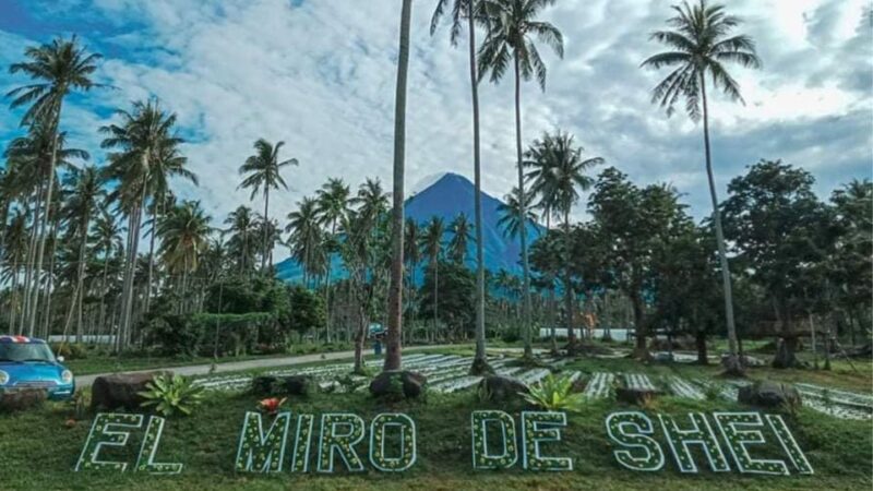 Bicol Philippines: Legazpi City Mayon Half Day Joiner Tour - Health and Safety