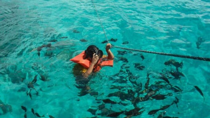 Bicol Philippines: Matnog Sorsogon Day Tour W/ Subic Beach - Marine Life and Ecosystems
