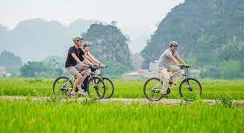 Bicycle Adventure:Ella to Demodara With Ninearch Bridge Tour - Key Points