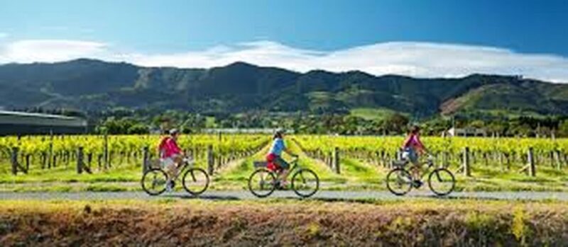 Bicycle Adventure:Ella to Demodara With Ninearch Bridge Tour - Itinerary Highlights