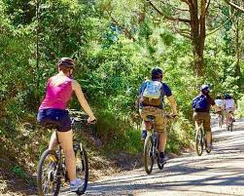 Bicycle Adventure:Ella to Demodara With Ninearch Bridge Tour - Transportation and Pickup
