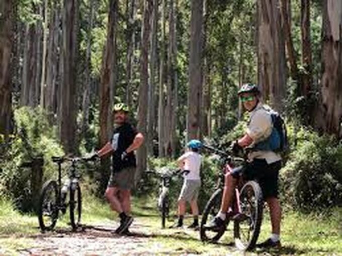 Bicycle Adventure:Ella to Demodara With Ninearch Bridge Tour - Safety and Comfort