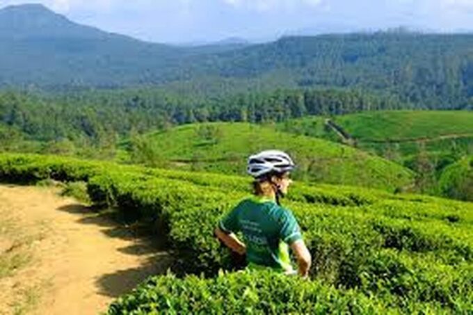 Bicycle Adventure:Ella to Demodara With Ninearch Bridge Tour - Frequently Asked Questions