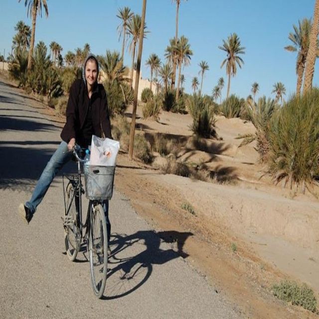 Bicycle Marrakesh Old and New City Tour - Exploring Marrakesh Medina