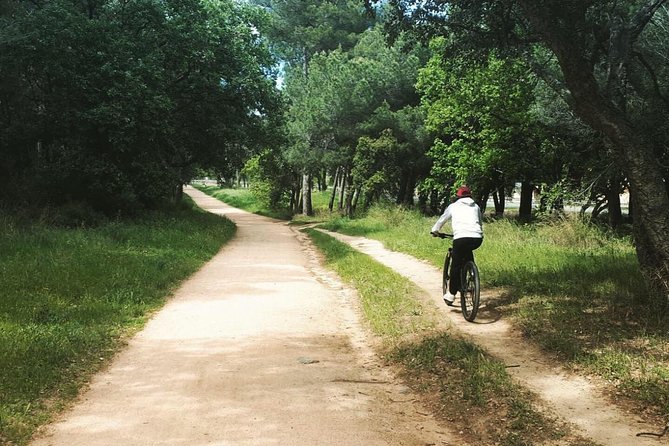 Bicycle Rental - Highlights of the Experience