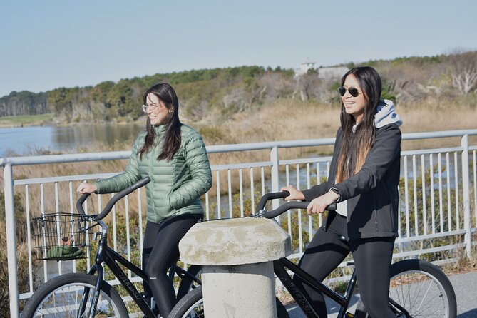 Bicycle Rental From Visitor Center Location at Assateague, MD - Location and Meeting Point Details