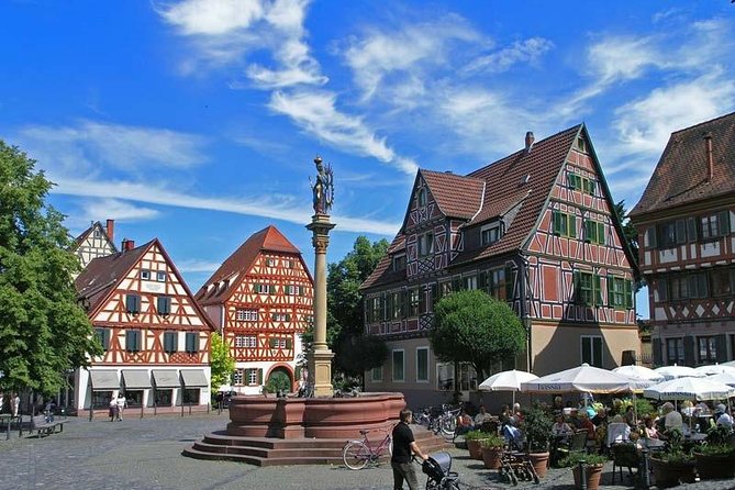 Bicycle Tour From Heidelberg to Quaint Ladenburg. - Group Size and Experience