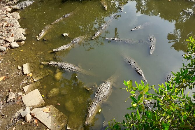 Bicycle Tour in Ixtapa - Customer Reviews and Feedback