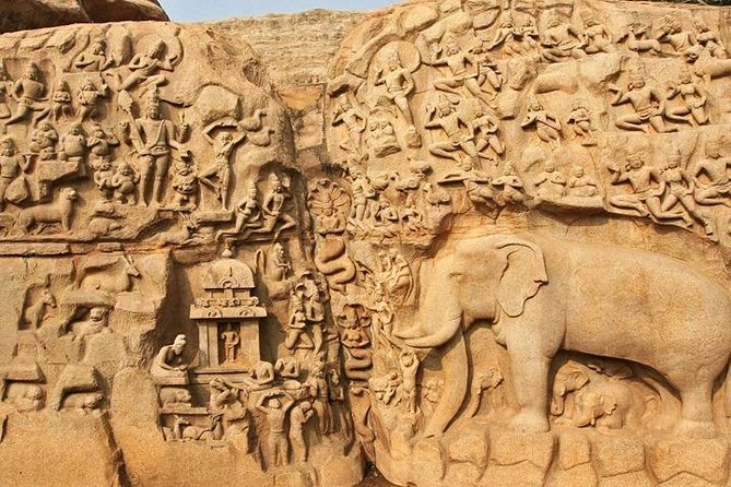 Bicycle Tour in Mahabalipuram With Transport From Chennai,Lunch & Guide - Customer Feedback and Response