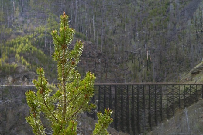 Bicyle Tour on Historical Kettle Valley Railway From Myra Canyon to Penticton - Group Size and Traveler Limitations
