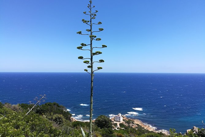 Biderosa and Capo Comino Beach Tour - Exploring Biderosa