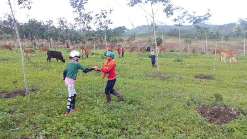 Bidoup National Park: Discover the Beauty and Biodiversity - Vietnams Coffee Culture Exploration