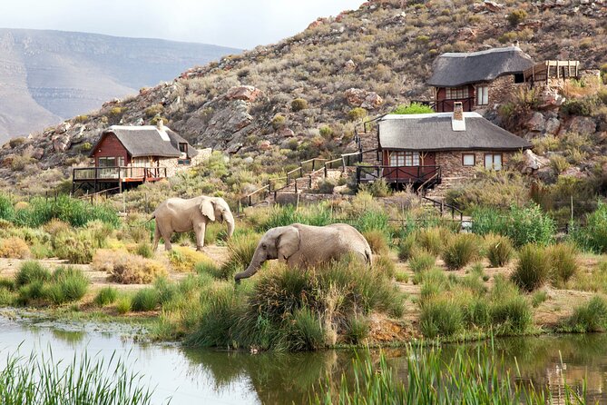 Big 5 Aquila Safari Full Day Tour and Lunch - Location and Duration