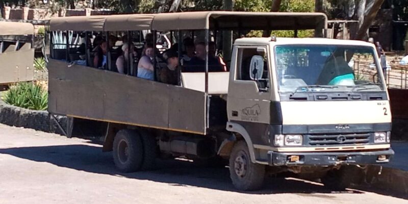 Big 5 Aquila Safari Half Day Tour and Wine Tasting - Travel