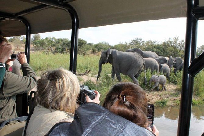 BIG 5 Kruger 3 Days Safari From Johannesburg - Key Points
