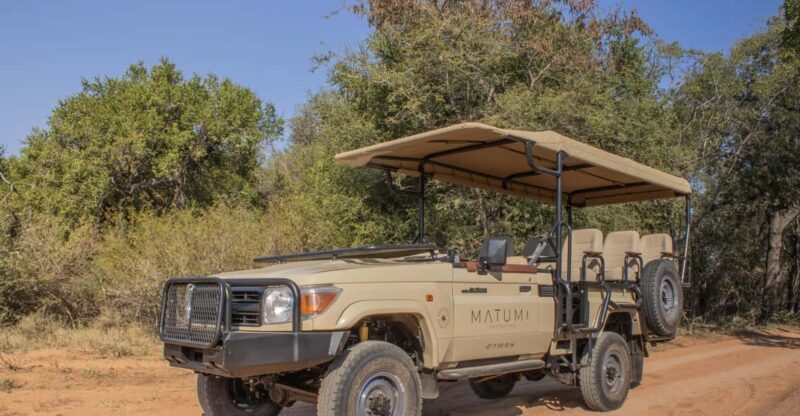 Big 5 Safari Am or Pm - Experience Highlights