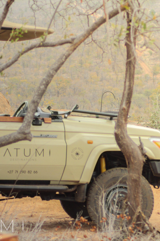 Big 5 Safari Am or Pm - Safari Timings