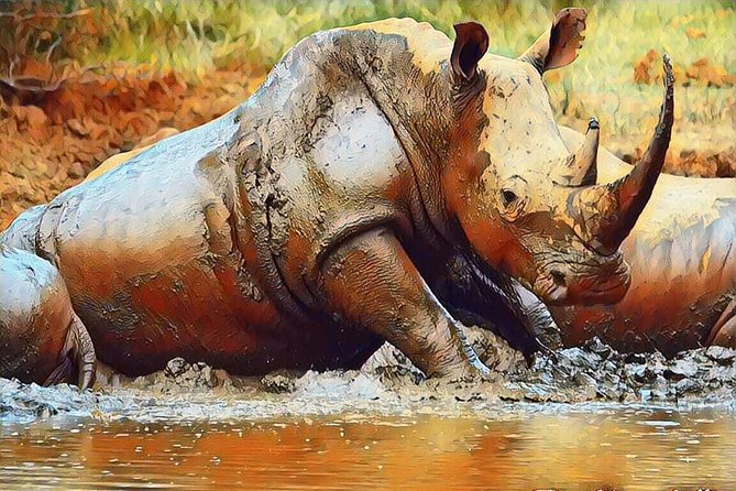 Big 5 Safari Experience at Pilanesberg National Park - Tour Inclusions and Amenities
