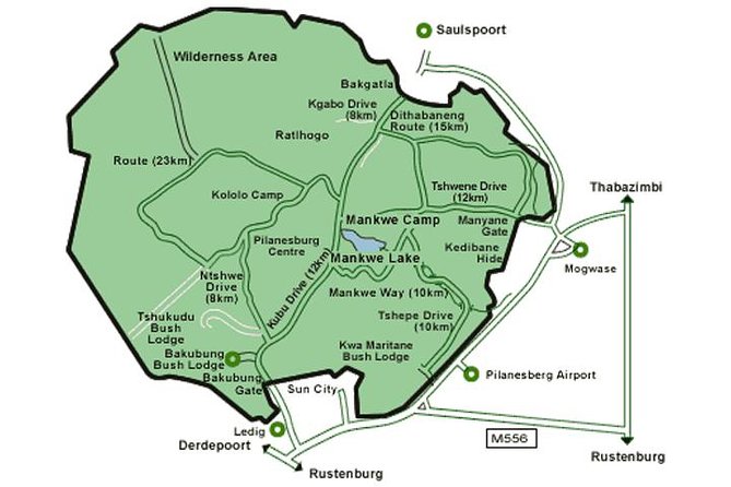 Big 5 Safari Experience at Pilanesberg National Park - Pricing and Booking Options
