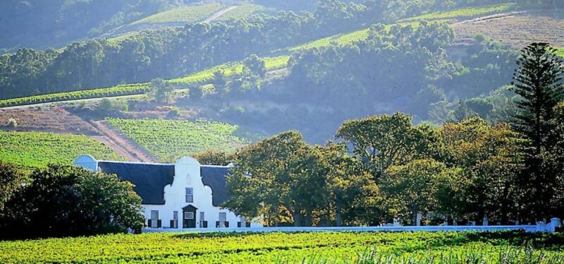 Big 5 Safari, Whale Watching, Robben Island & Table Mountain - Discover Robben Islands History