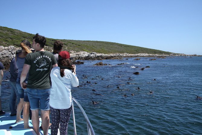 Big 5 Sea Safari in Walker Bay From Gansbaai - Pickup and Meeting Details