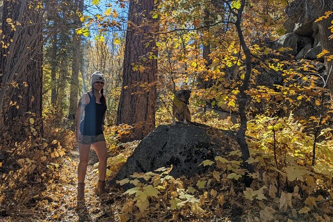 Big Bear Fall Colors Hiking Tour in Southern California - What to Expect