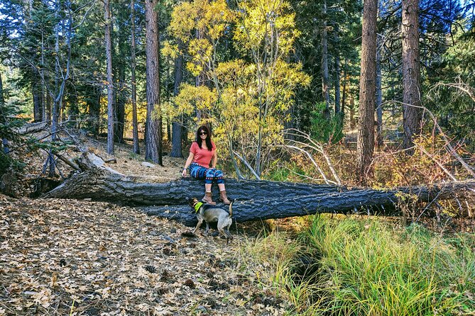 Big Bear Fall Colors Hiking Tour in Southern California - Getting to the Meeting Point