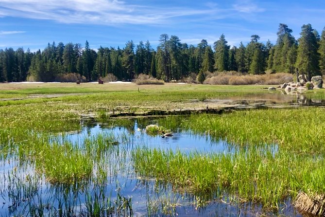 Big Bear Jeep Off-Road Tour With Hike to Bluff Lake Reserve - Logistics and Meeting Point