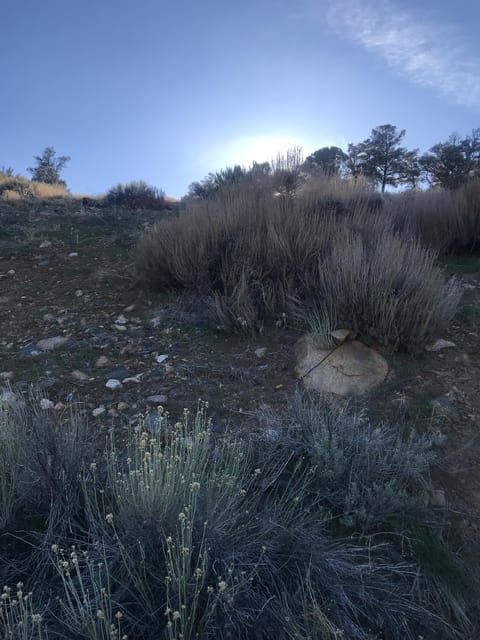 Big Bear Meditation Hike - Experience Highlights