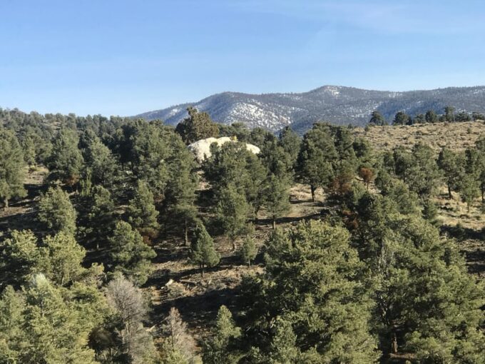 Big Bear Meditation Hike - Crystal Hunting at Crystal Mountain