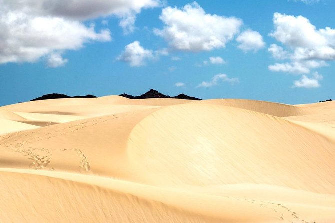 Big Boa Vista Exclusive Tour - Tour Overview