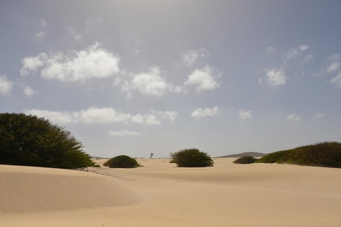 Big Boa Vista Exclusive Tour - Location and Operator