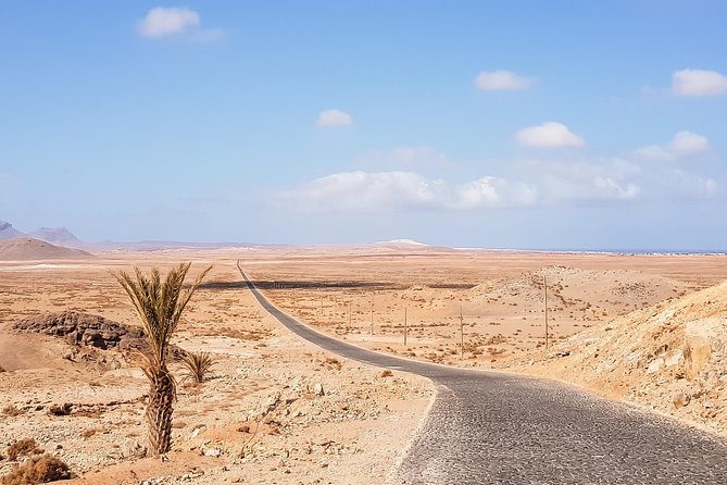 Big Boa Vista Exclusive Tour - Pricing and Availability