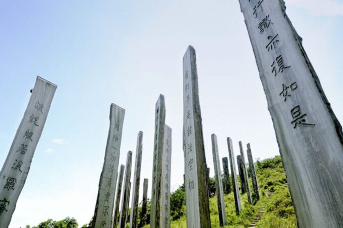 Big Buddha: Walk With Skip-The-Line NP360 Cable Car - Meeting Point and Accessibility
