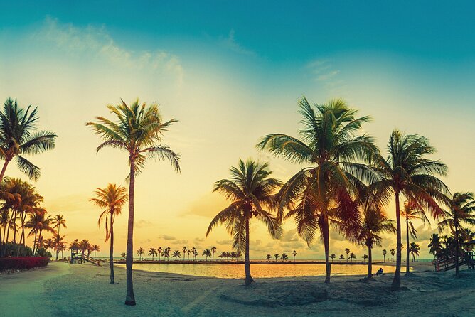 Big Bus Miami: Sightseeing Night Tour by Open-top Bus - Tour Duration and Schedule