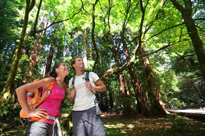 Big Bus San Francisco: Guided Muir Woods Tour - Logistics and Accessibility