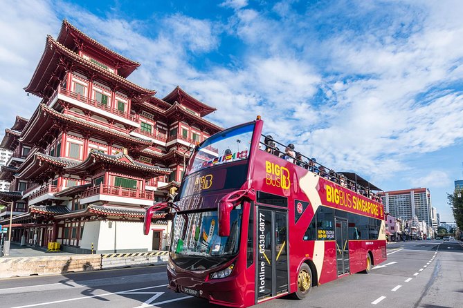 Big Bus Singapore Hop-On Hop-Off Tour - Tour Options