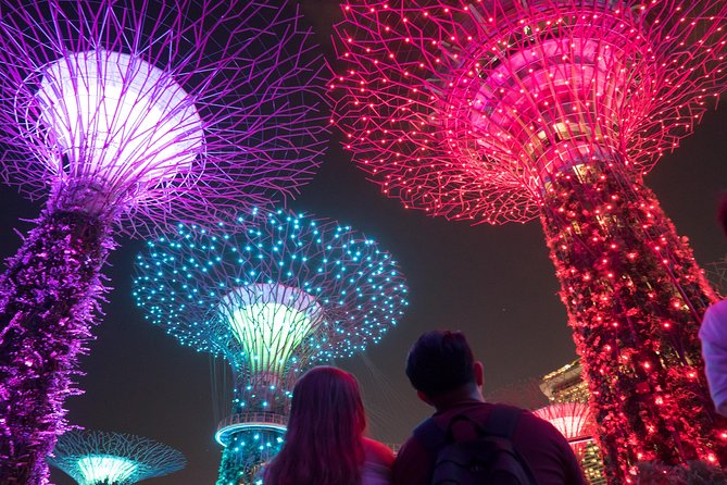 Big Bus Singapore Night Tour With Gardens by the Bay Light Show - Maximum Capacity