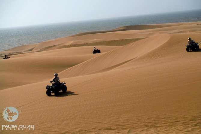 Big Cap Sim Dunes and Forest 3 Hours Tour. - Inclusions