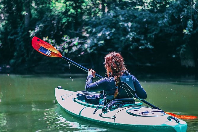 Big Creek Kayak Tour - Tour Suitable for All Levels