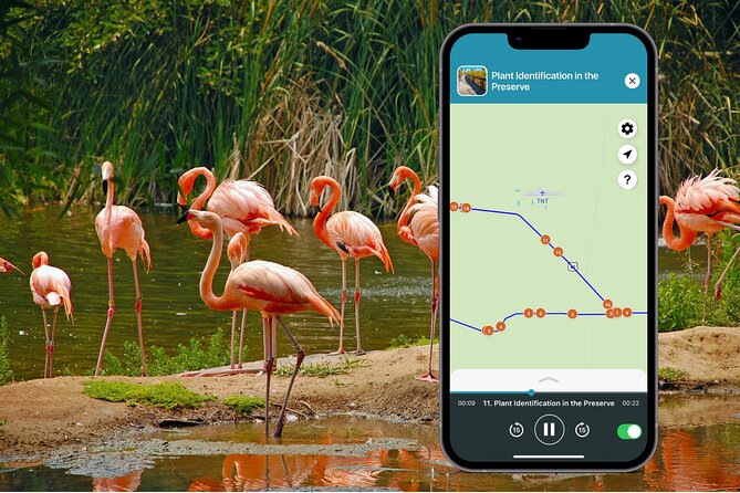 Big Cypress National Preserve Audio Tour Guide - Pricing and Booking Details