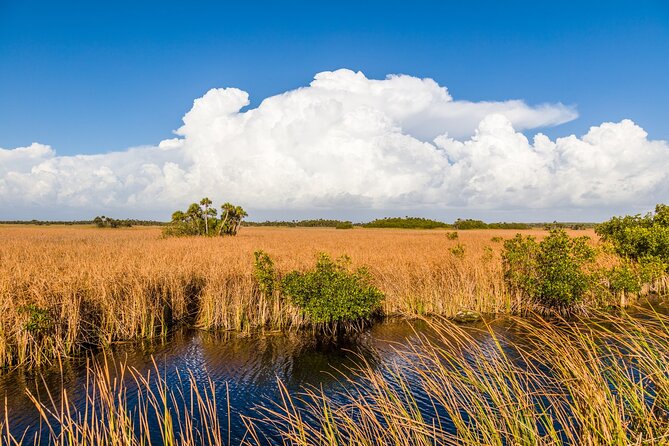 Big Cypress National Preserve Audio Tour Guide - Frequently Asked Questions