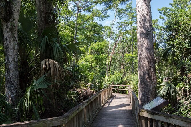 Big Cypress National Preserve Self Guided Driving Audio Tour - App Functionality and Requirements