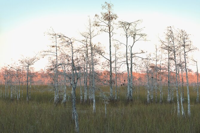 Big Cypress National Preserve Self Guided Driving Audio Tour - Starting the Tour