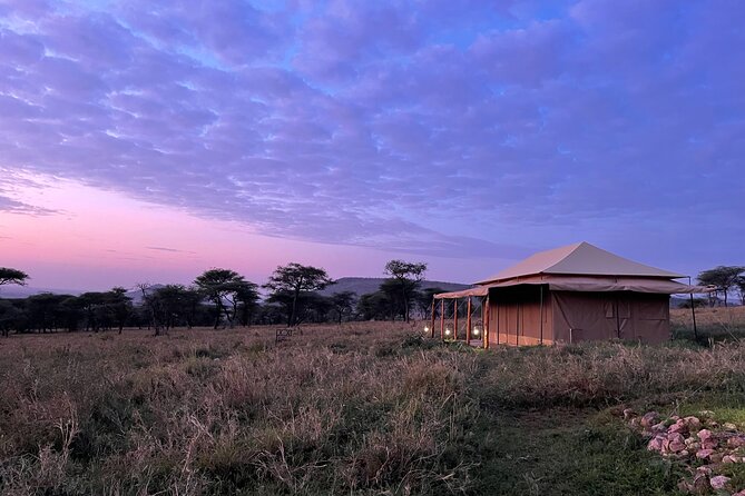 Big Five Dream Safari - Pickup