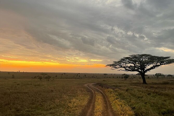 Big Five Dream Safari - Additional Information