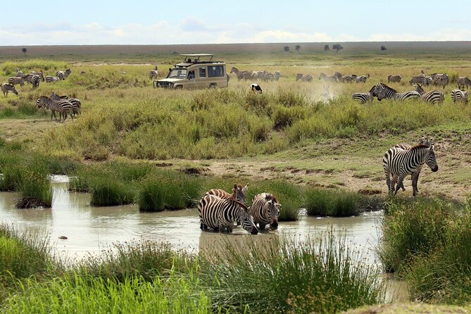 Big Five Luxury 7 Days Safari Tour in Arusha - Accommodation and Meals
